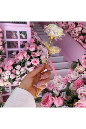 Sonsuzluk Gülü Sevgililer Gününe Özel - Sky Podium Türkiye