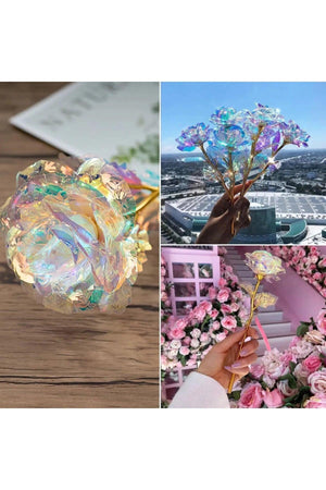 Sonsuzluk Gülü Sevgililer Gününe Özel - Sky Podium Türkiye