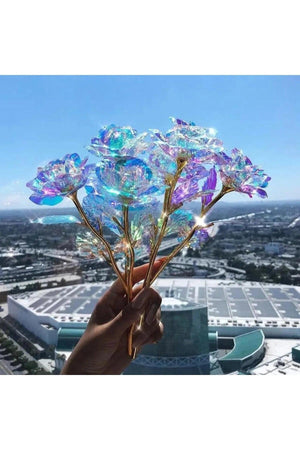 Sonsuzluk Gülü Sevgililer Gününe Özel - Sky Podium Türkiye